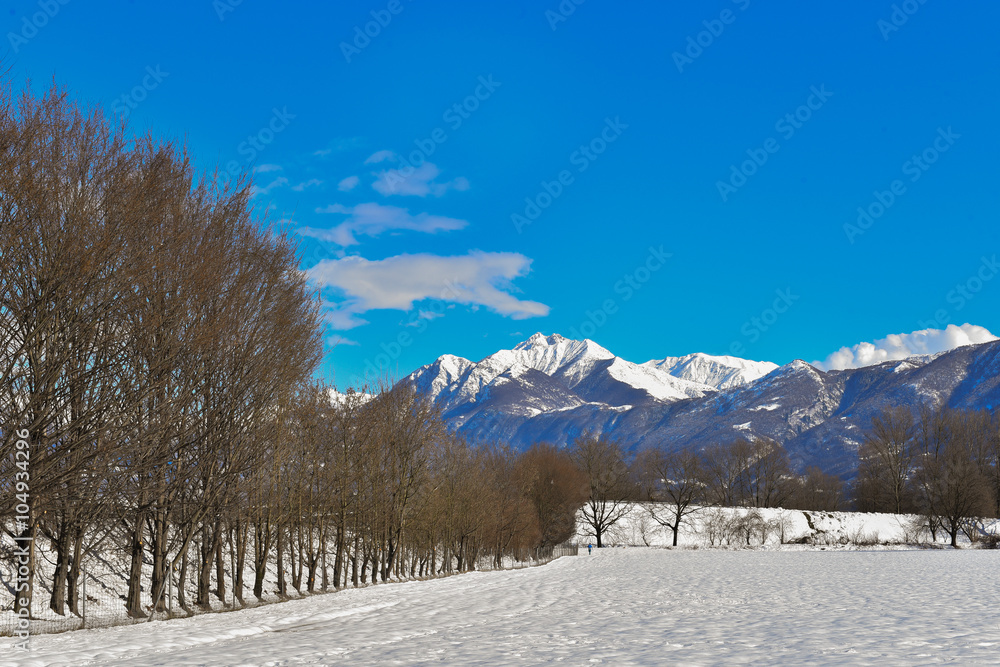 Veduta invernale nella palude con prato innevato