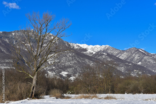 Panorama invernale con vista sulle montagne