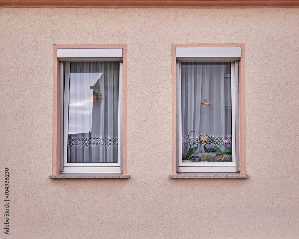 two windows with flowers on light pink wall