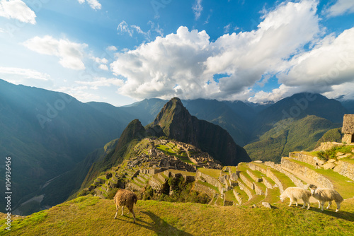 Sunlight on Machu Picchu, Peru, with llamas in foreground