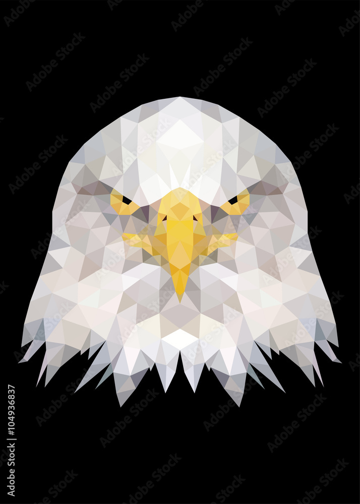 Fototapeta premium Eagle bird face standing and looking on camera vector