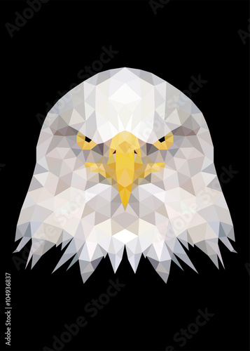 Eagle bird face standing and looking on camera vector