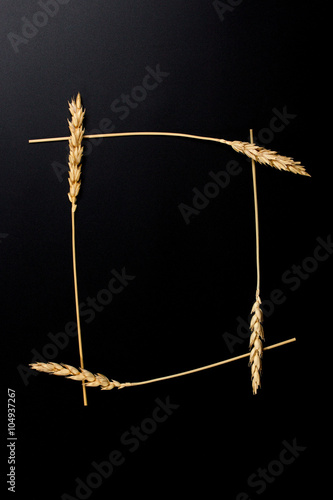 wheat ears as a frame