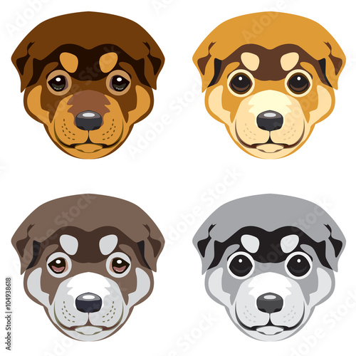 Puppy' muzzle. Set of vector illustrations
