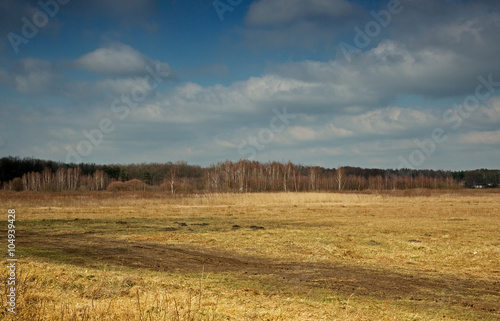 Interesting early spring landscape of meadows