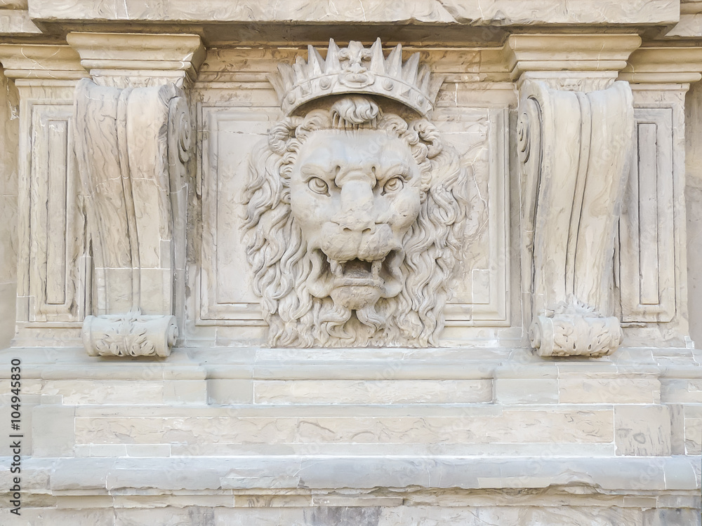Fototapeta premium the lion's head on a facade