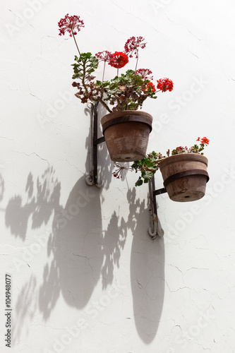 Fototapeta Naklejka Na Ścianę i Meble -  geraniums in pots