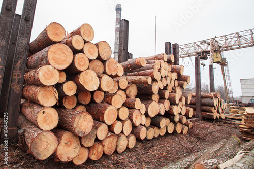 wood sawmill log