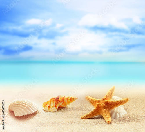 Summer beach with seashells. background sea.