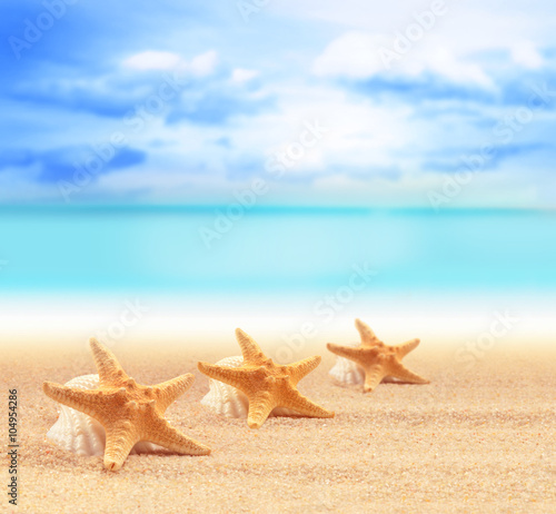 Summer beach with starfish. background sea.