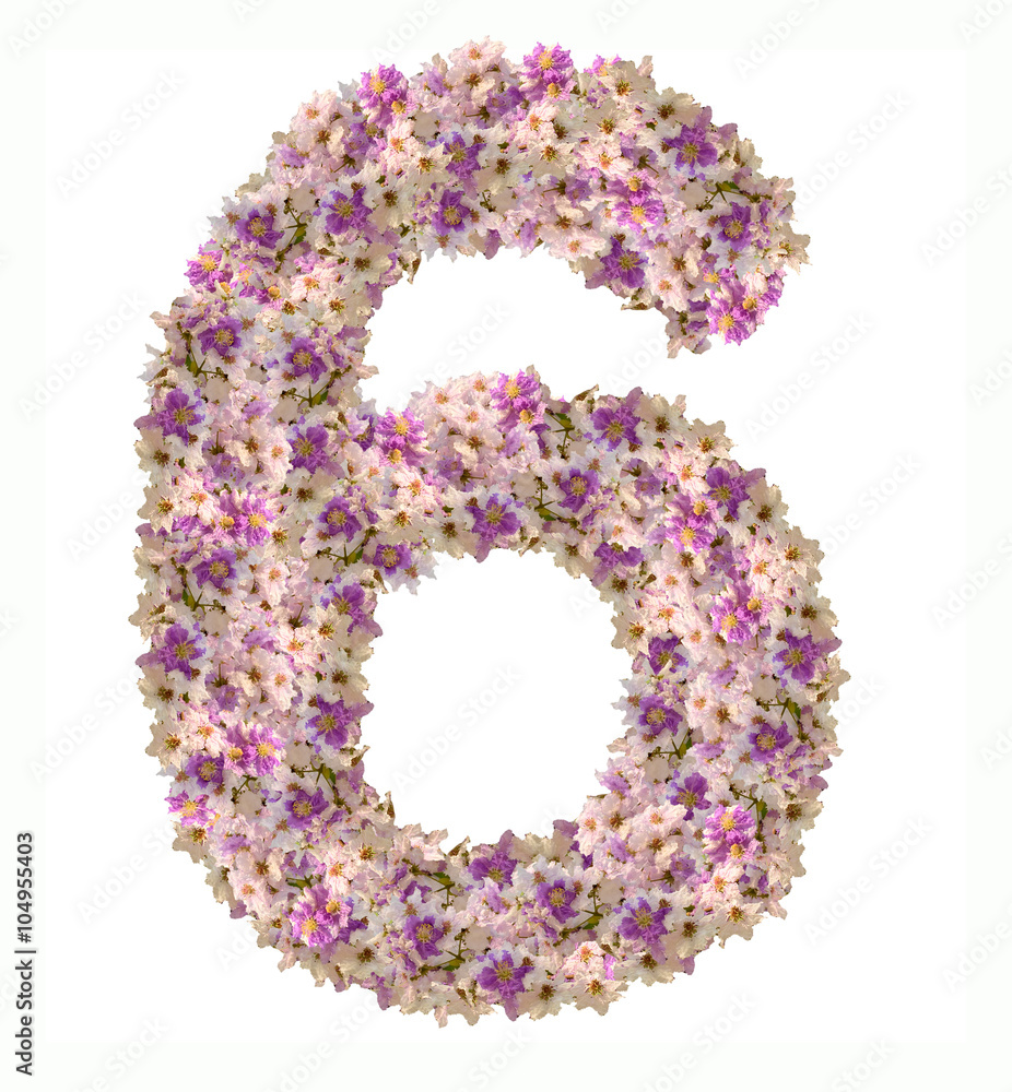 Numbers made of flowers isolated on white background