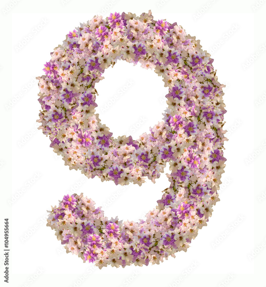 Numbers made of flowers isolated on white background