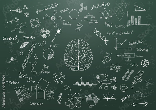 brain science chalkboard