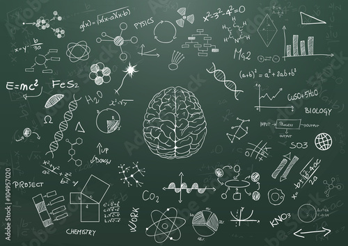 brain science chalkboard