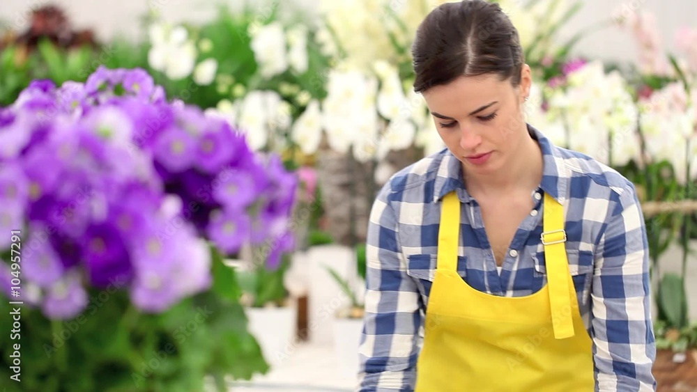 garden springtime concept, woman florist with basket of flowers primroses garden springtime concept, woman florist with basket of flowers primroses