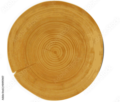 Querschnitt Baumstamm