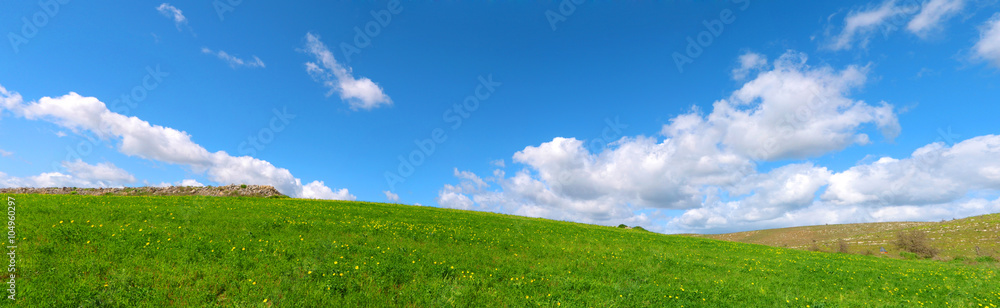 Wunschmotiv: Bellissimo panorama di una collina verde con delle nuvole nel cielo azzurro - Salviamo