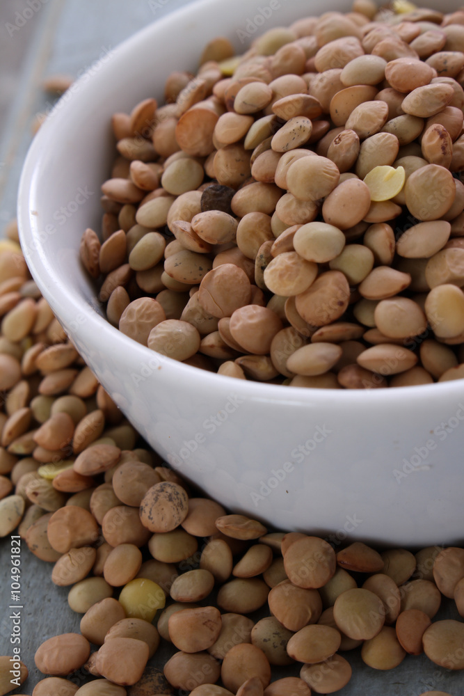dried umbrian lentils dried umbrian lentils
