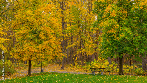 Table with benches for a picnic in the autumn forest