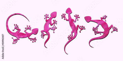 white lizard  set vector images