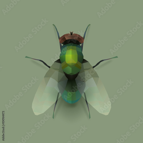 fly