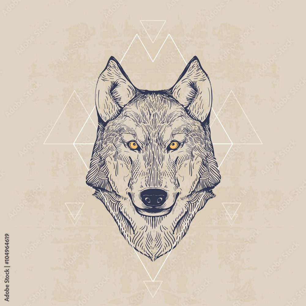 Plakat głowa wilka