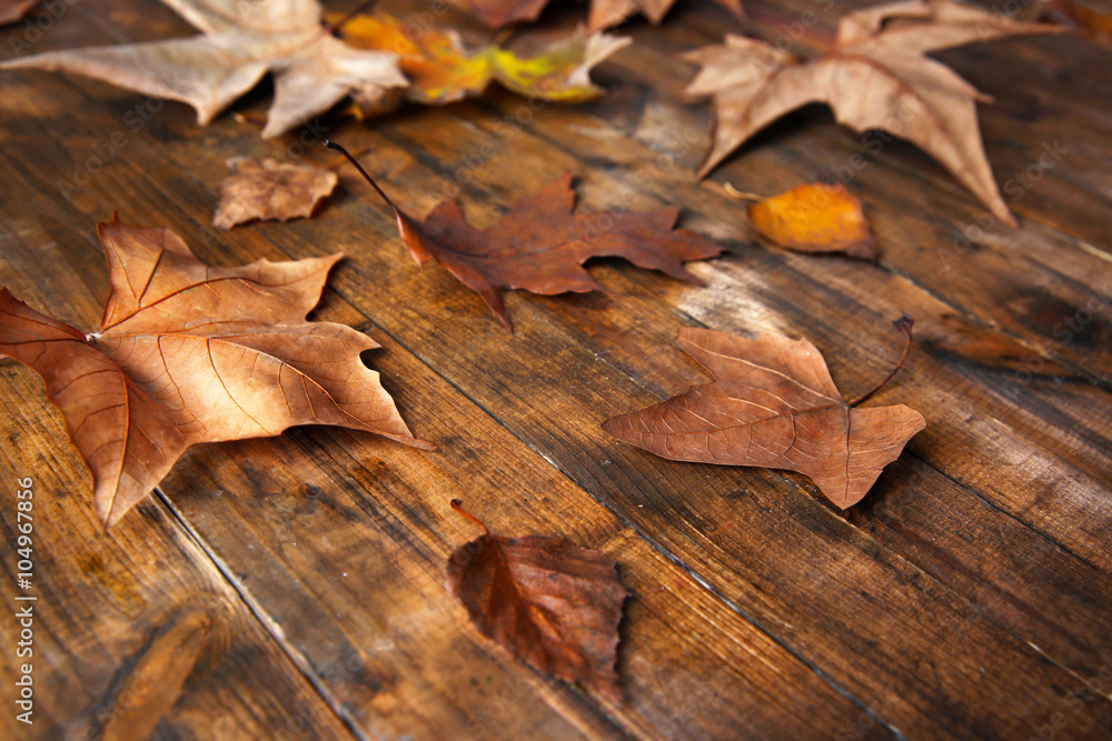 Golden autumn leaves on wooden background Golden autumn leaves on wooden background