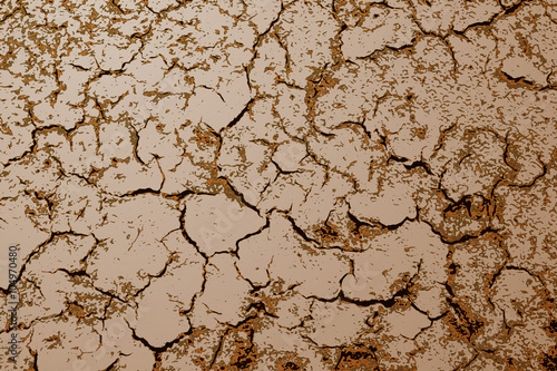 Grunge texture dry cracked earth background