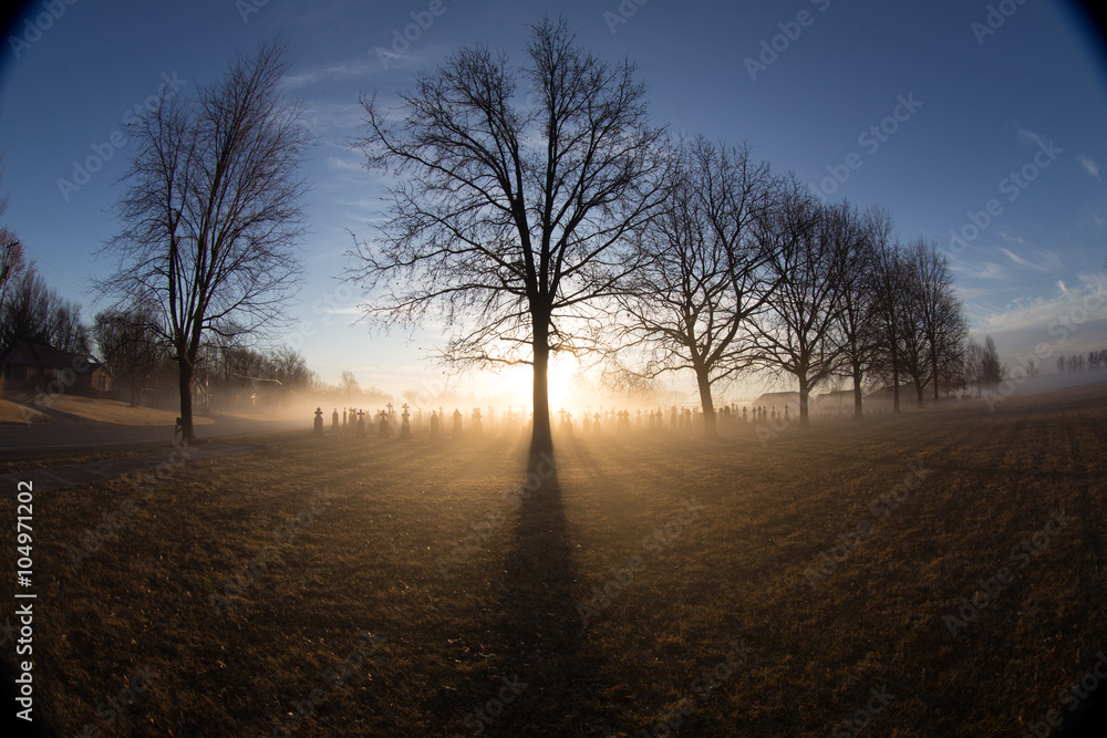 19th Century Cemetery at Sunrise 19th Century Cemetery at Sunrise