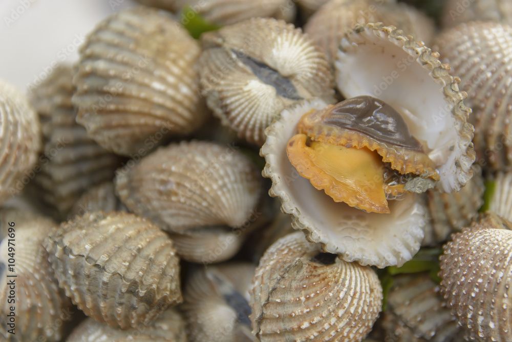 Boil Blood Cockle seafood Boil Blood Cockle seafood