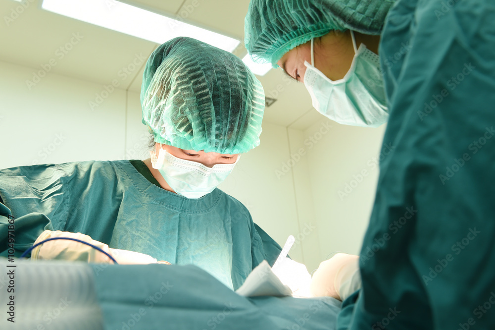 two veterinarian surgeons in operating room two veterinarian surgeons in operating room
