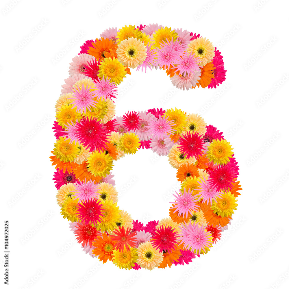 flower number six. Floral element of colorful alphabet made from