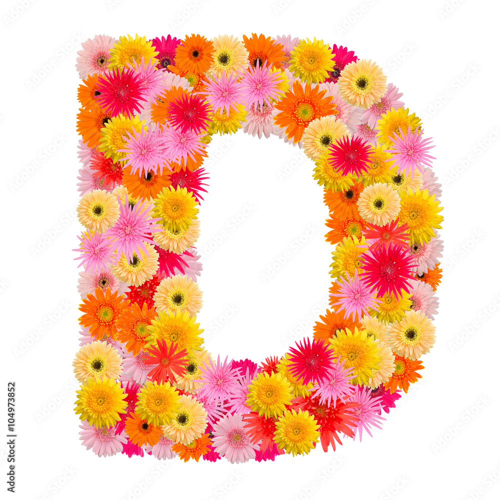 Letter D alphabet with gerbera isolated on white background Letter D alphabet with gerbera isolated on white background