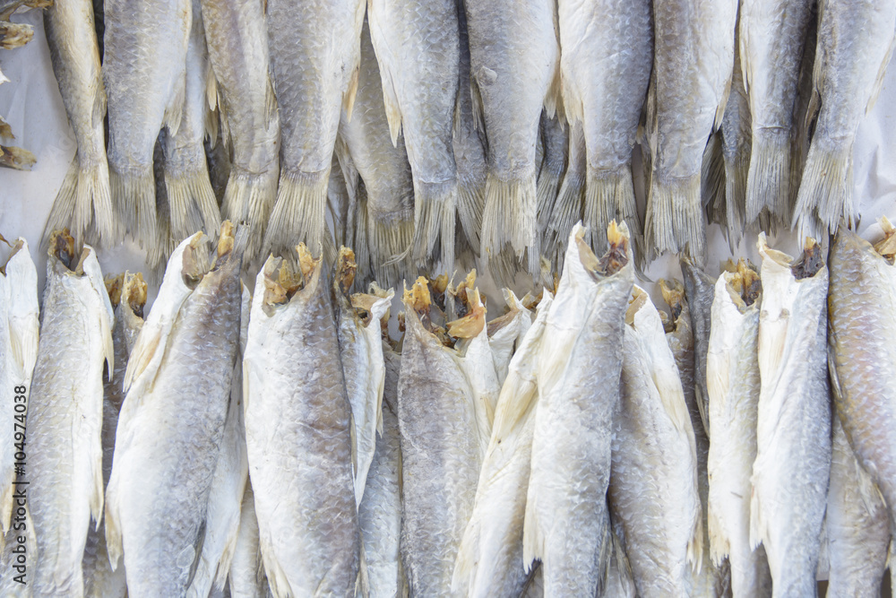 Fototapeta premium Flathead mullet, Grey mullet, Striped mullet
