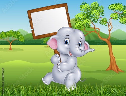Cute elephant holding blank sign in the jungle