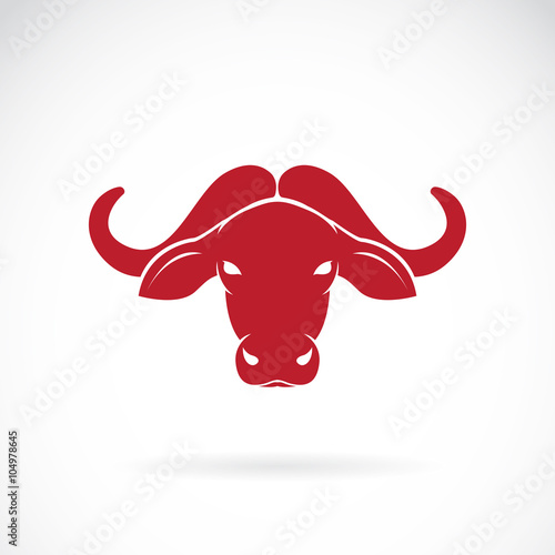 Vector image of an buffalo head on white background