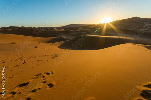 Fototapeta Naklejka Na Ścianę i Meble -  Sunrise over sand dune in the desert