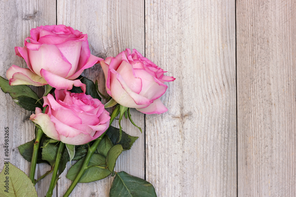 Three pink roses on a wooden platform, top view. - obrazy, fototapety, plakaty 