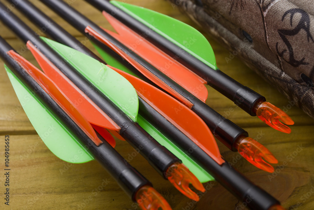 Set of arrows for the sports of archery Set of arrows for the sports of archery