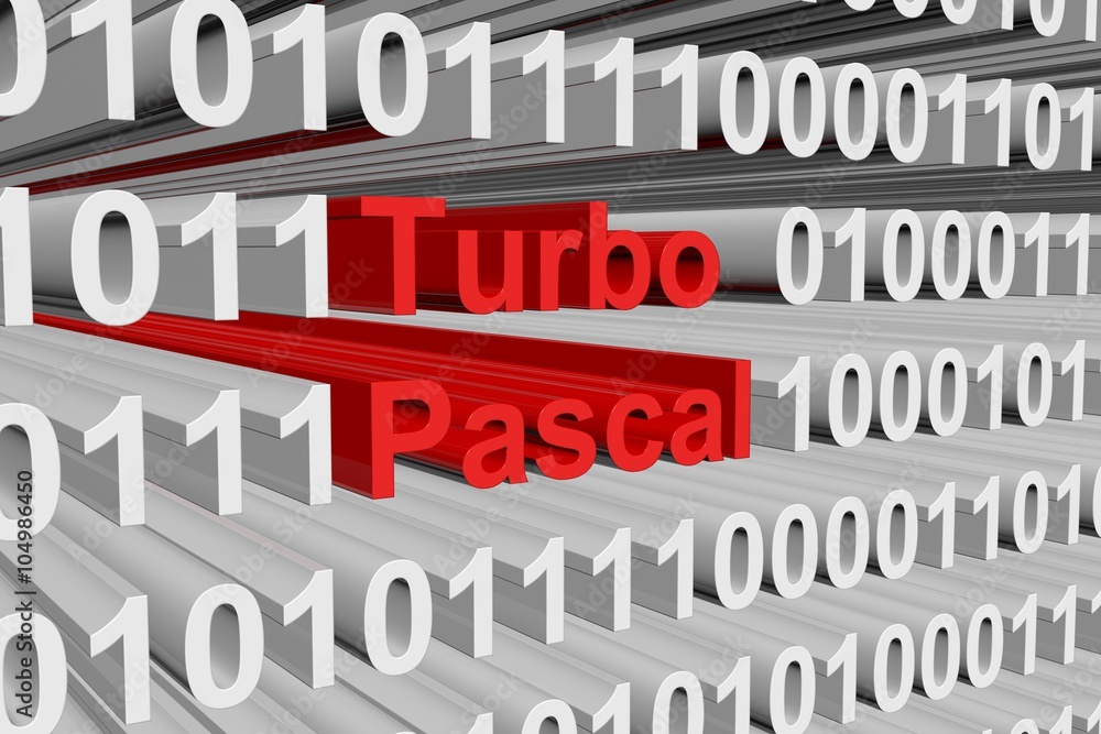 Turbo Pascal is presented in the form of binary code