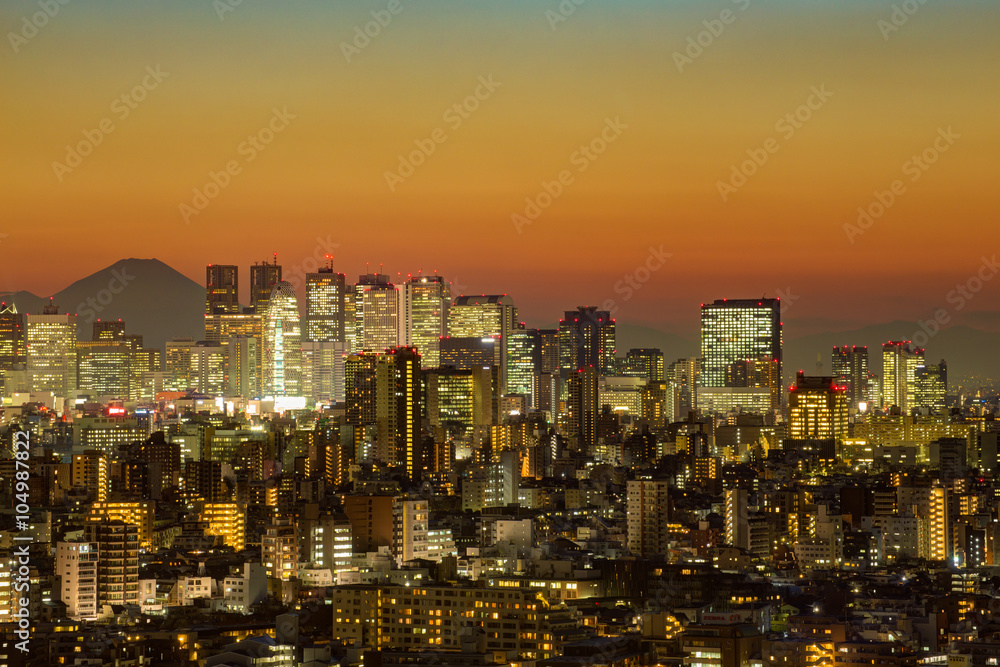 Obraz premium 東京・夕景・夜景・新宿方面