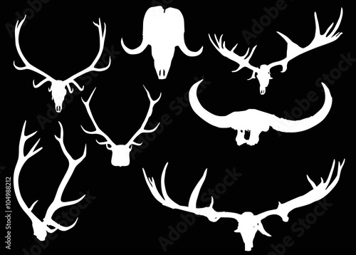 set of antler and horns isolated on black