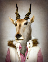 Fototapete Hipster Tiere Ziege im Anzug Vintage Illustration  © cranach