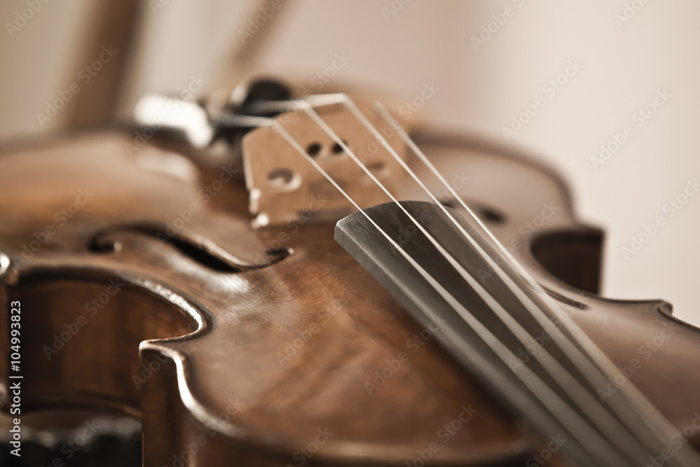 Detail closeup of a violin