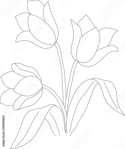 Fototapeta Naklejka Na Ścianę i Meble -  tulip pattern 02