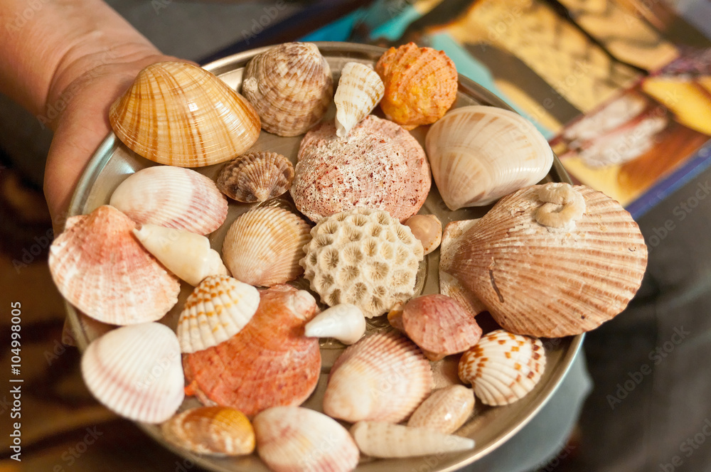 Cockleshells on a plate in a hand