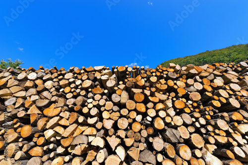 Pile of Chopped Firewood on Blue Sky   Dry chopped firewood logs in a pile on blue sky prepared for winter