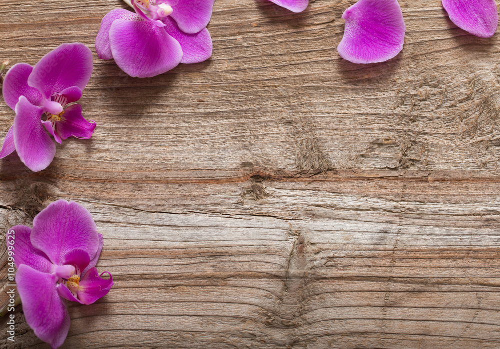 Pink orchid flowers on a wooden background Pink orchid flowers on a wooden background