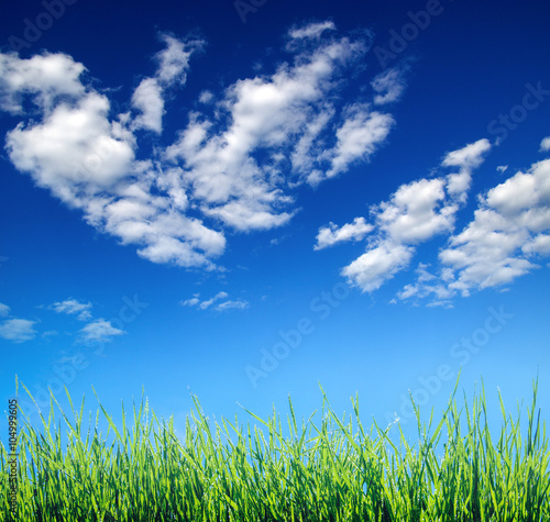  grass on clouds