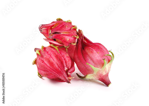 roselle isolated on white background